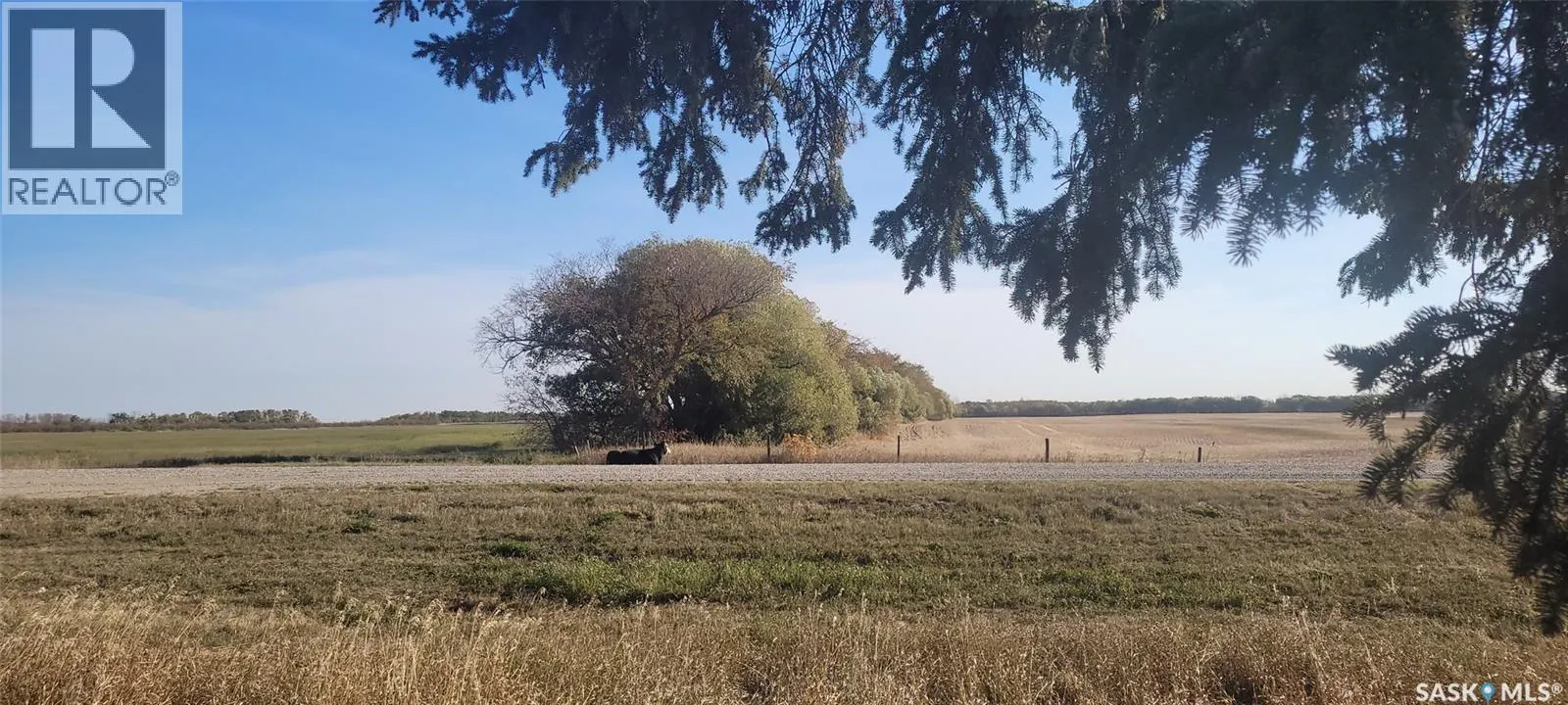Duck Lake Acreage Land