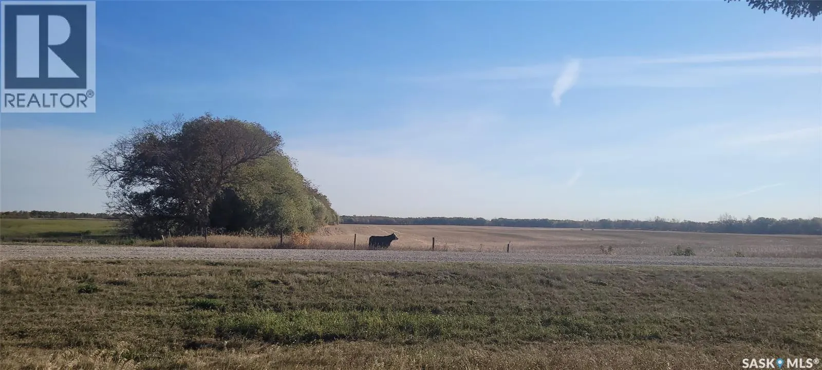Duck Lake Acreage Land