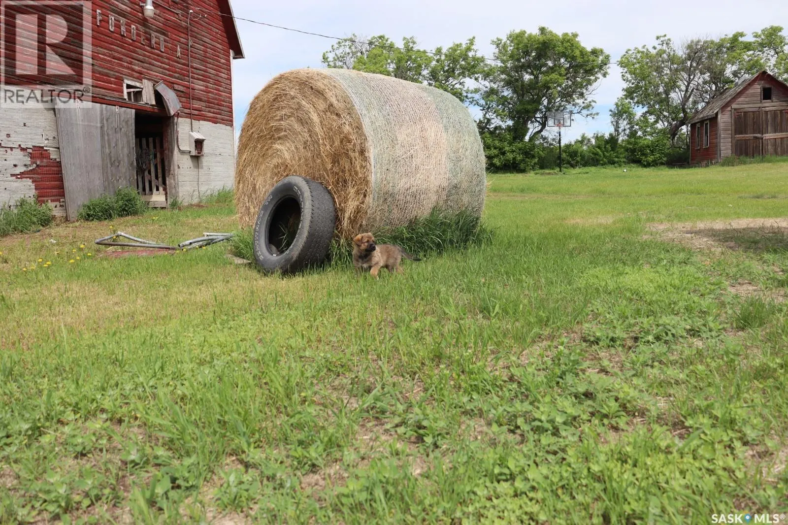 Duck Lake Acreage Land