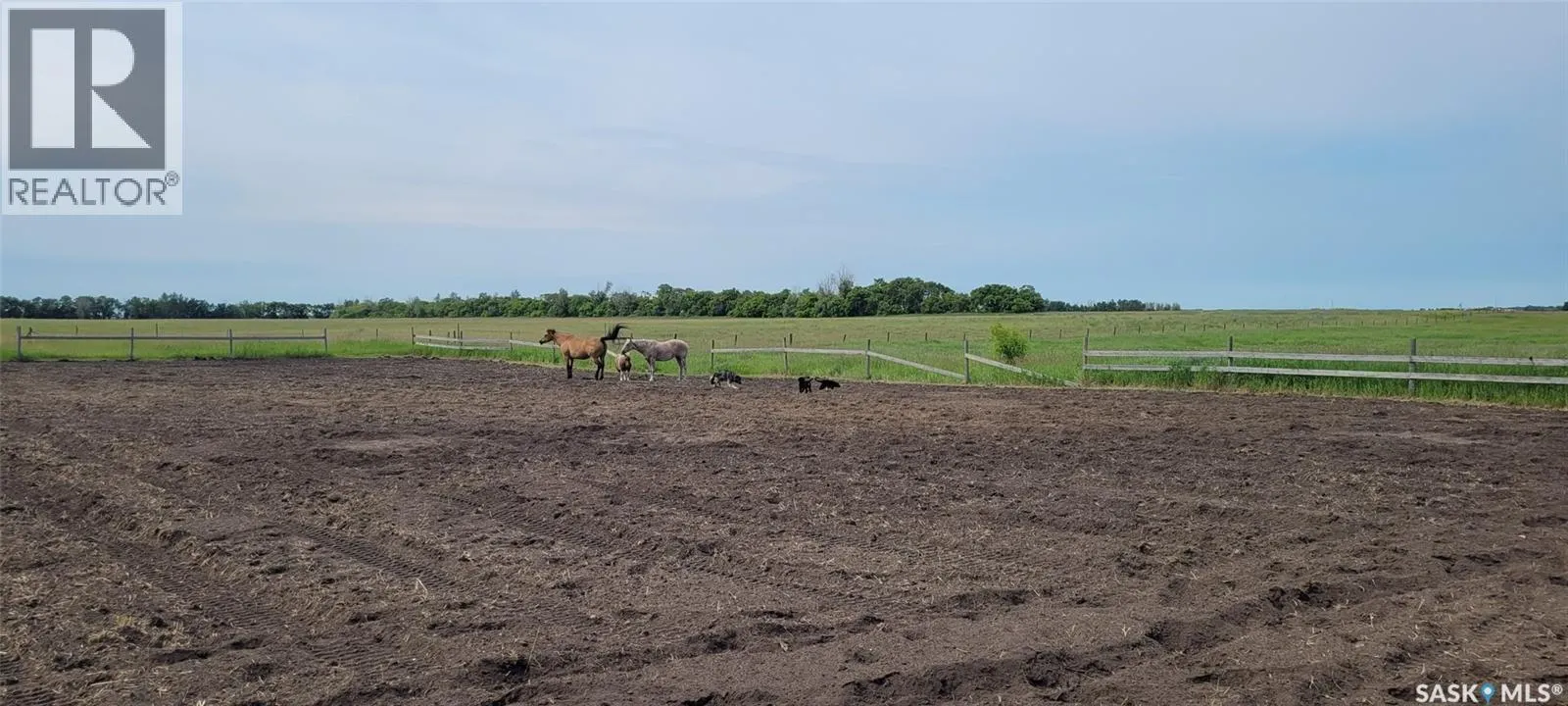 Duck Lake Acreage Land