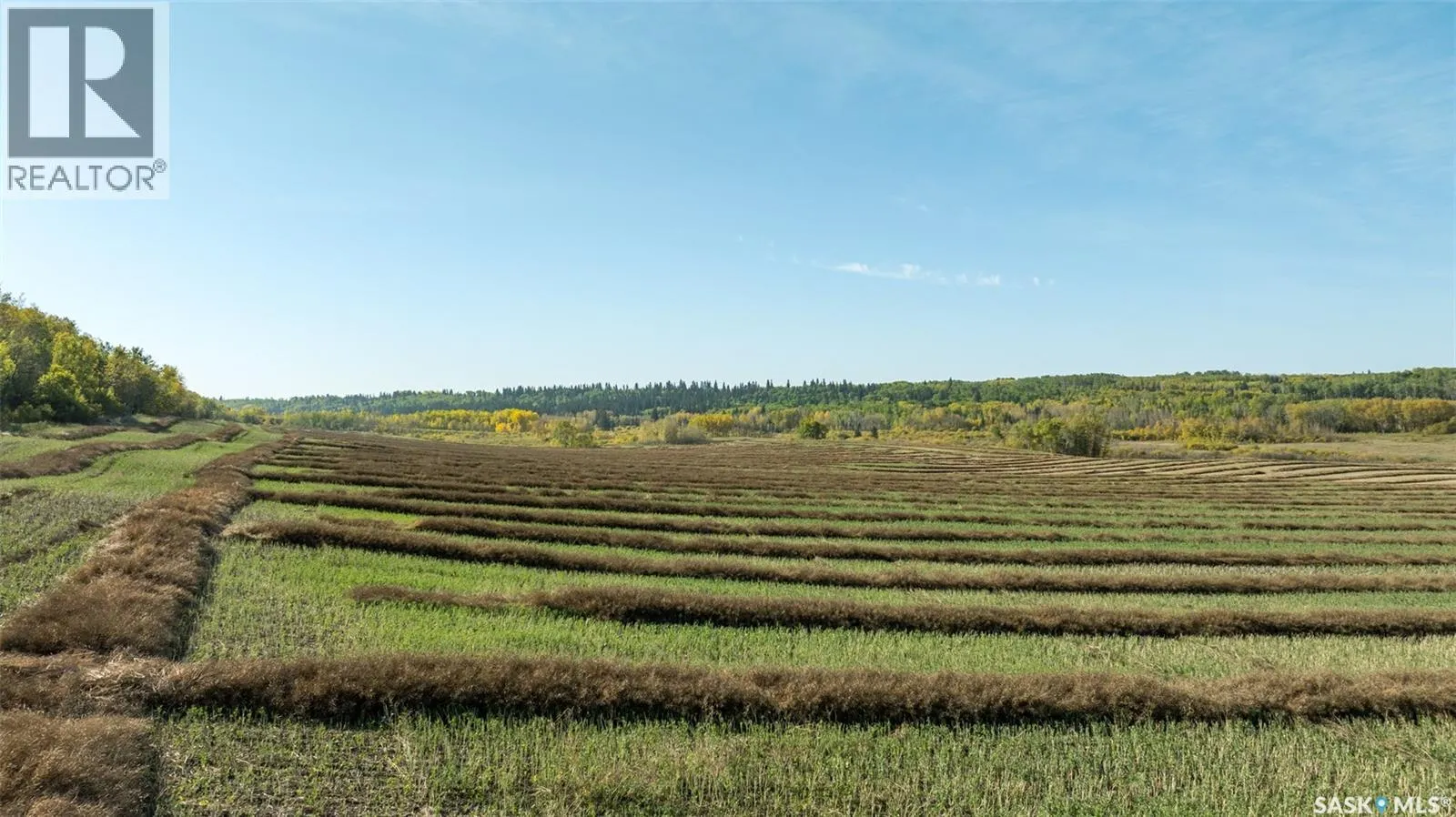 RM of Shellbrook Farmland