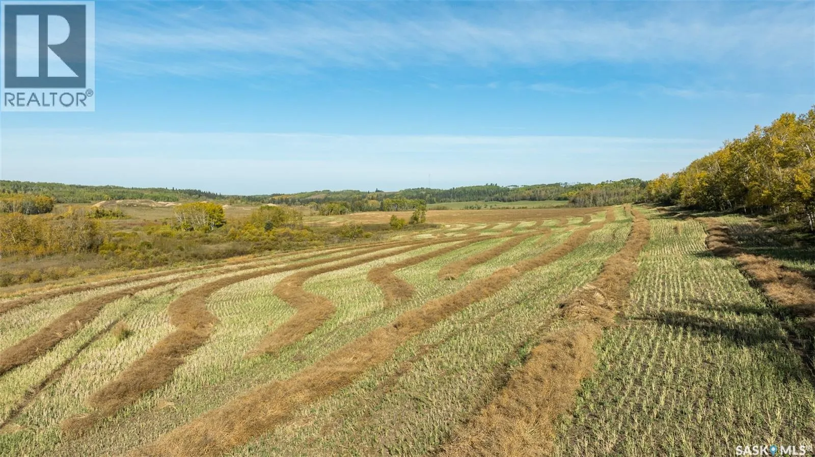 RM of Shellbrook Farmland