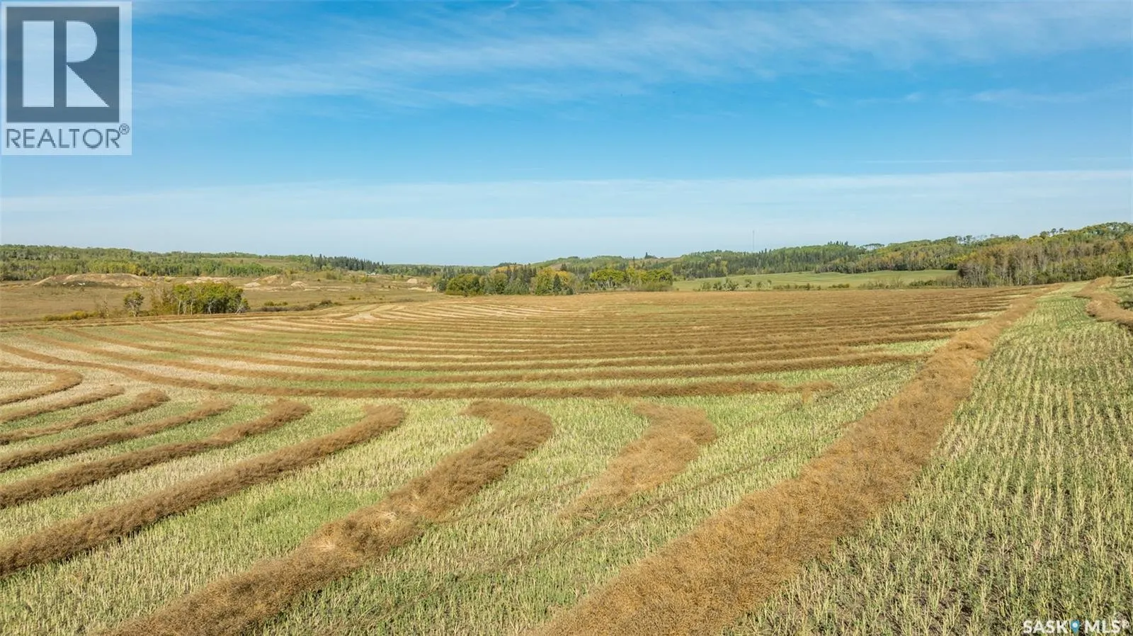 RM of Shellbrook Farmland