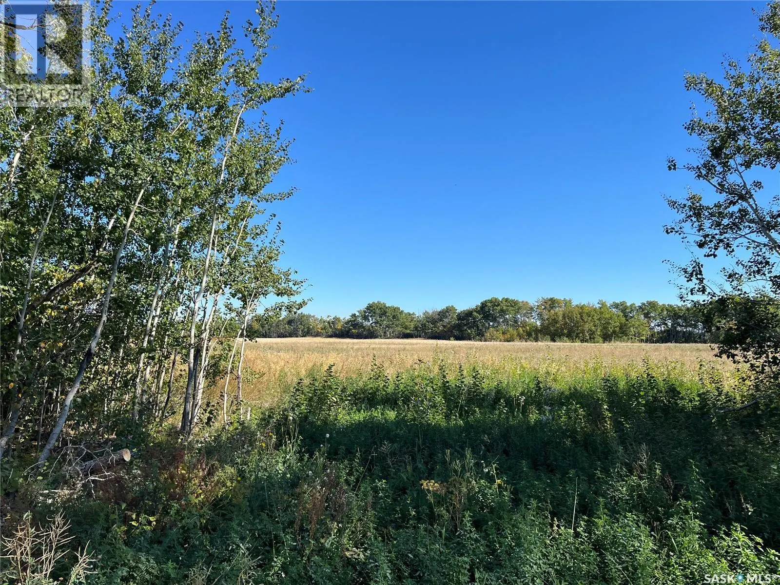 Lot13Bl12 Shoreline DRIVE