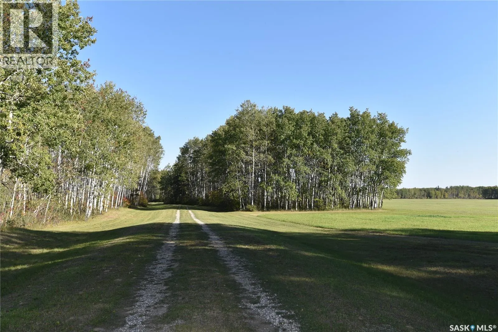 Thorson Land