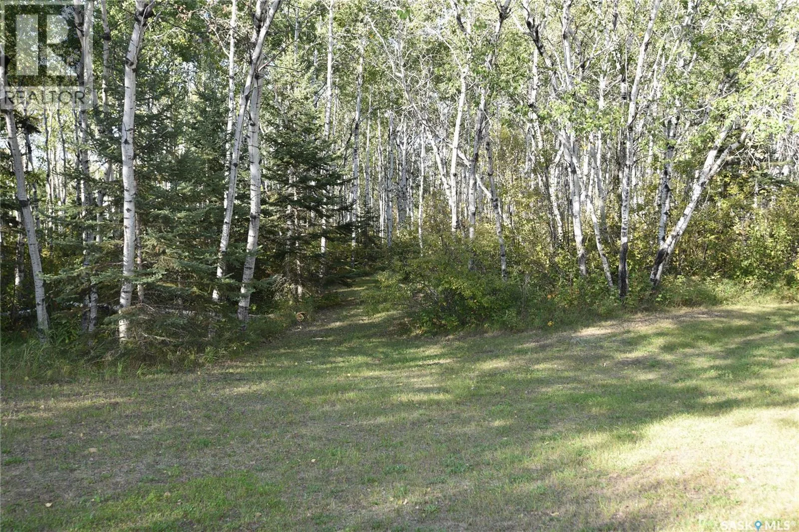 Thorson Land