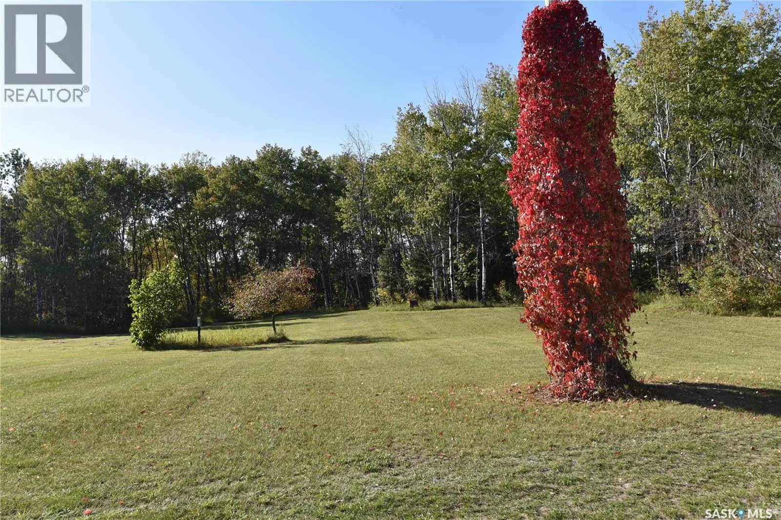 Thorson Land