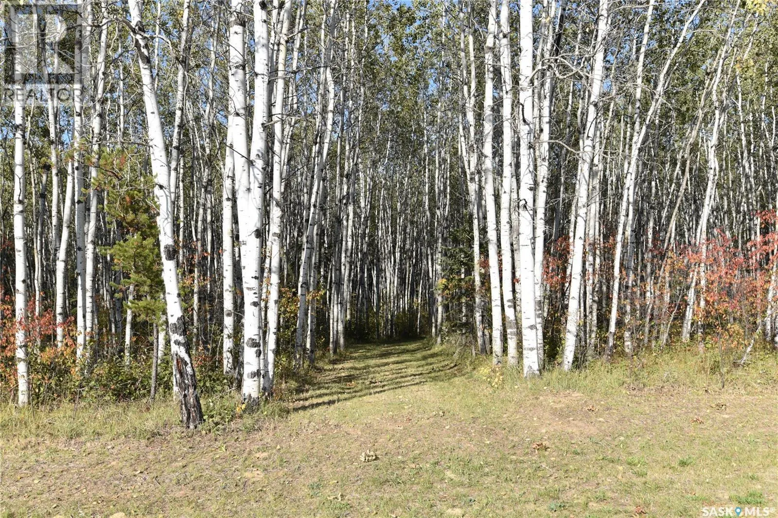 Thorson Land