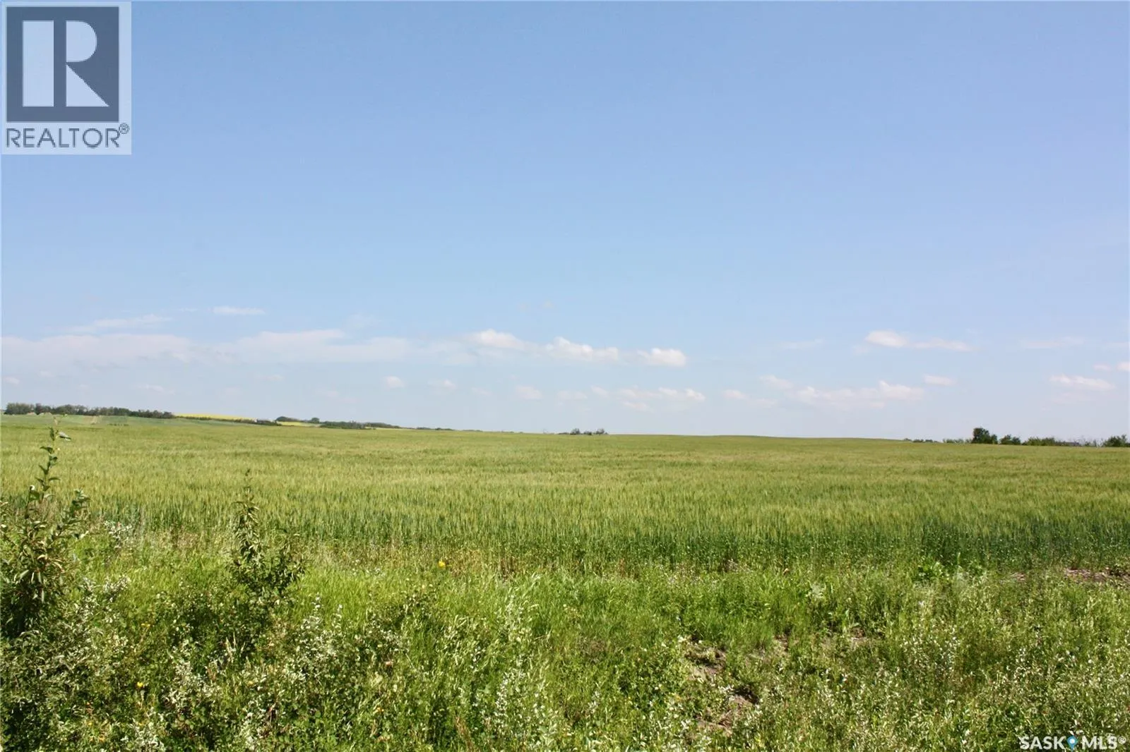RM of Grant 137.79 Acres