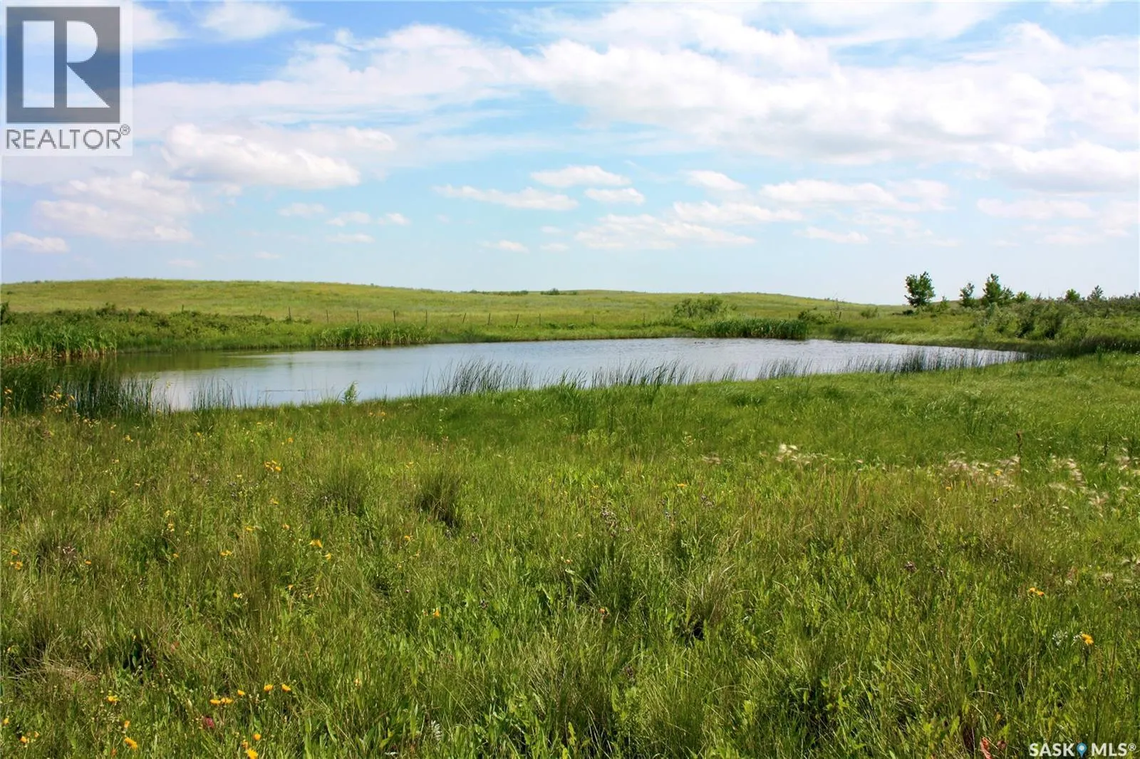 Skomar Farm, RM of Grant