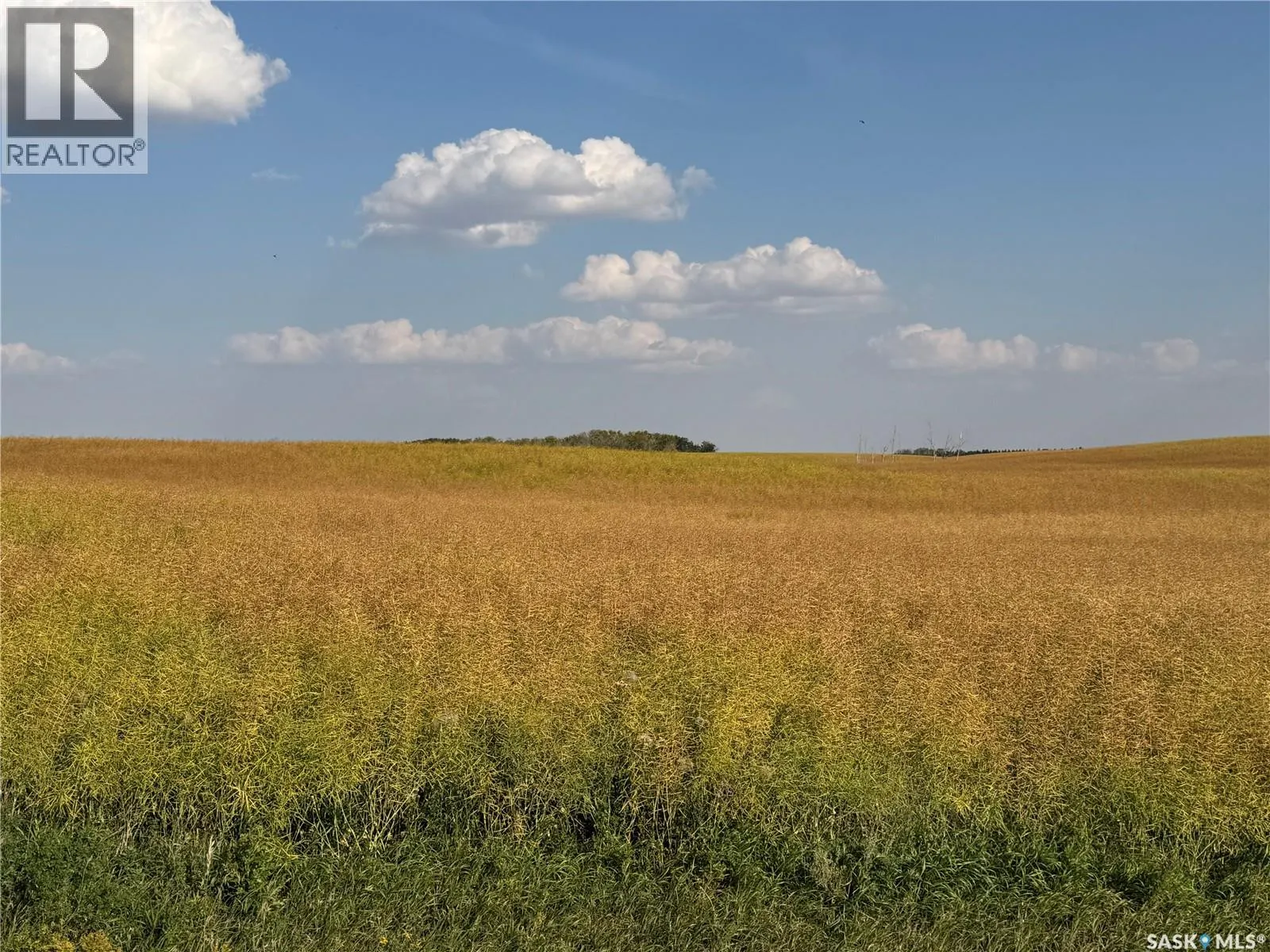 Adserballe Farmland