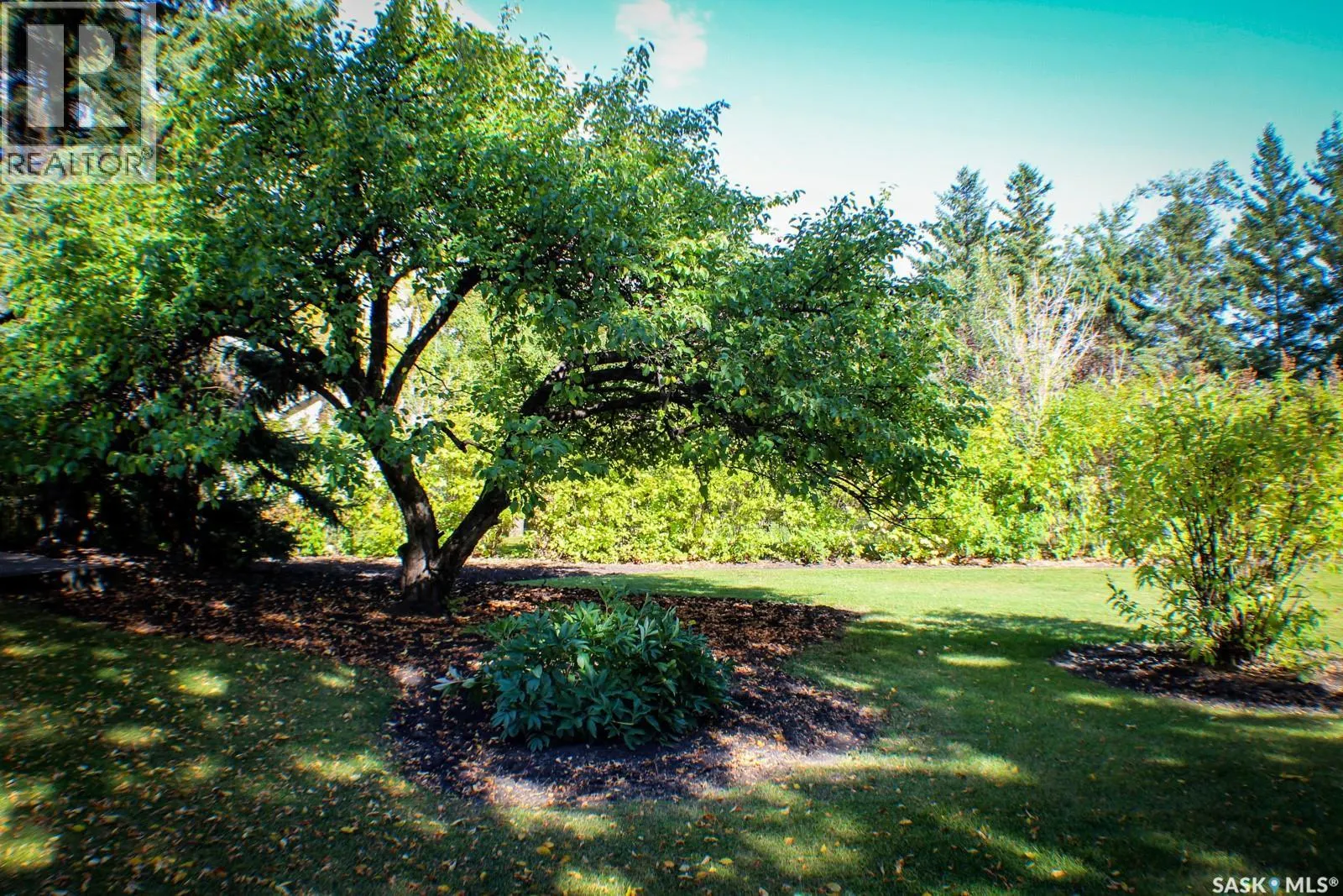 121 McCosh DRIVE