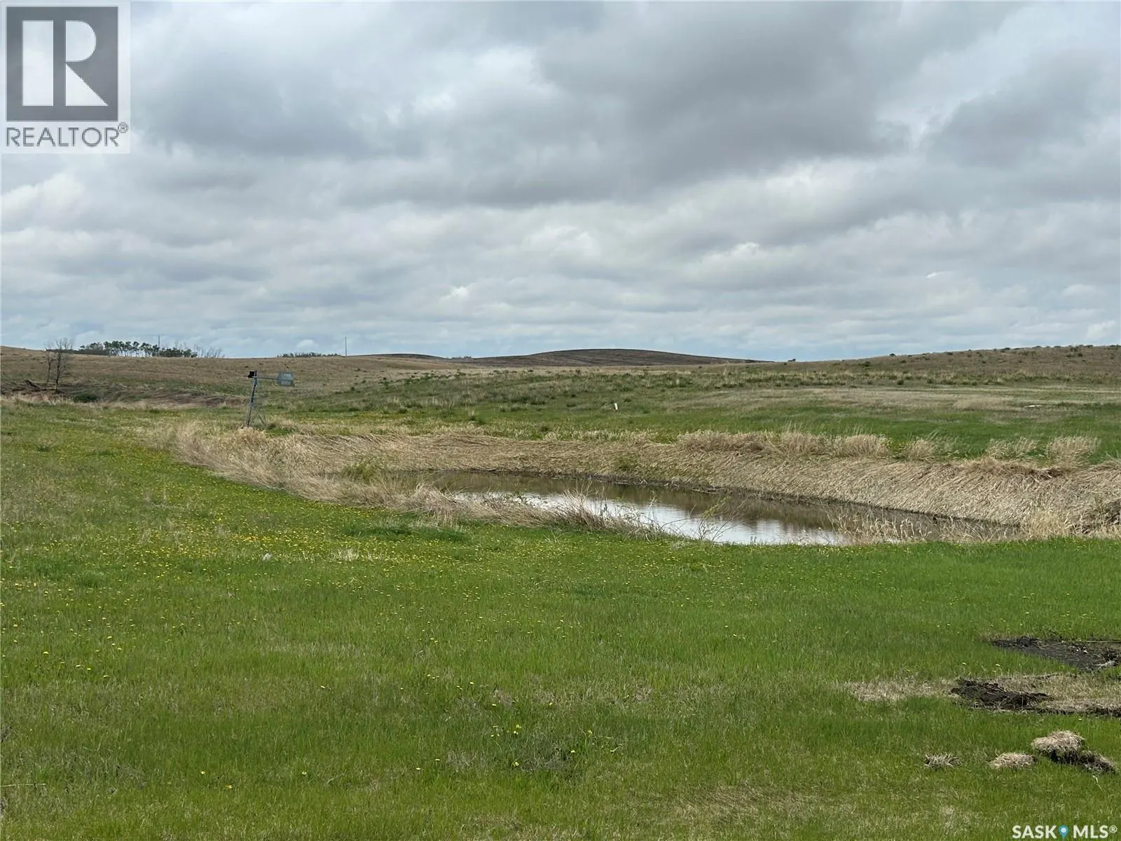 Saelhof Acreage