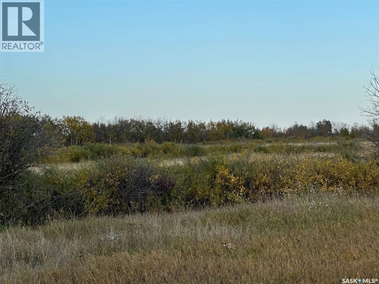 Lybeck 80 Acres