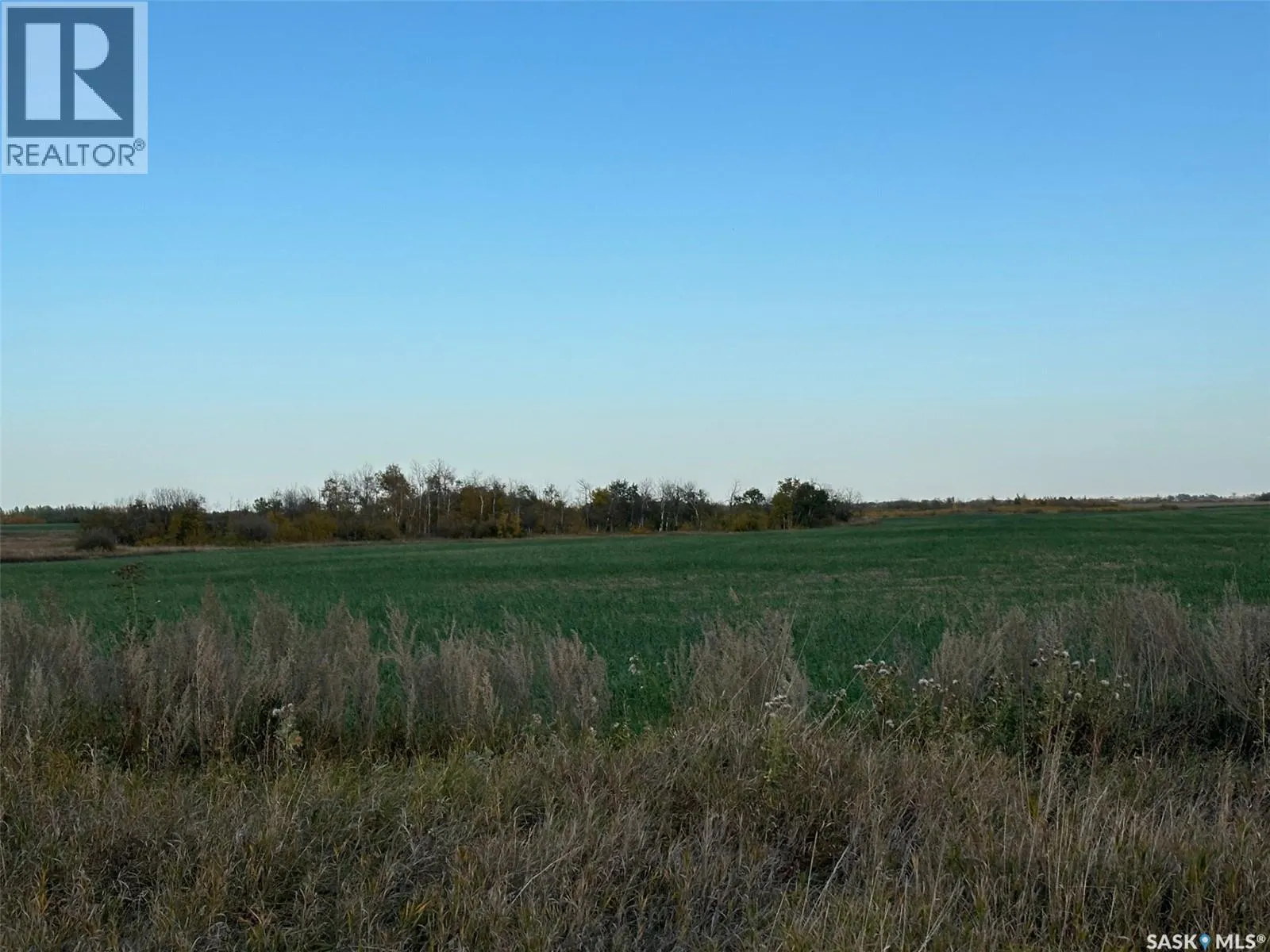 Lybeck 80 Acres