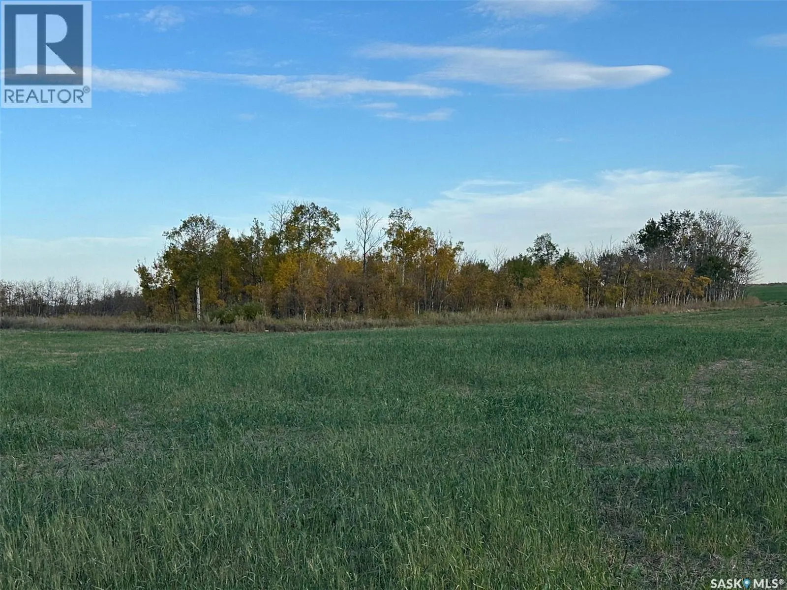 Lybeck 80 Acres