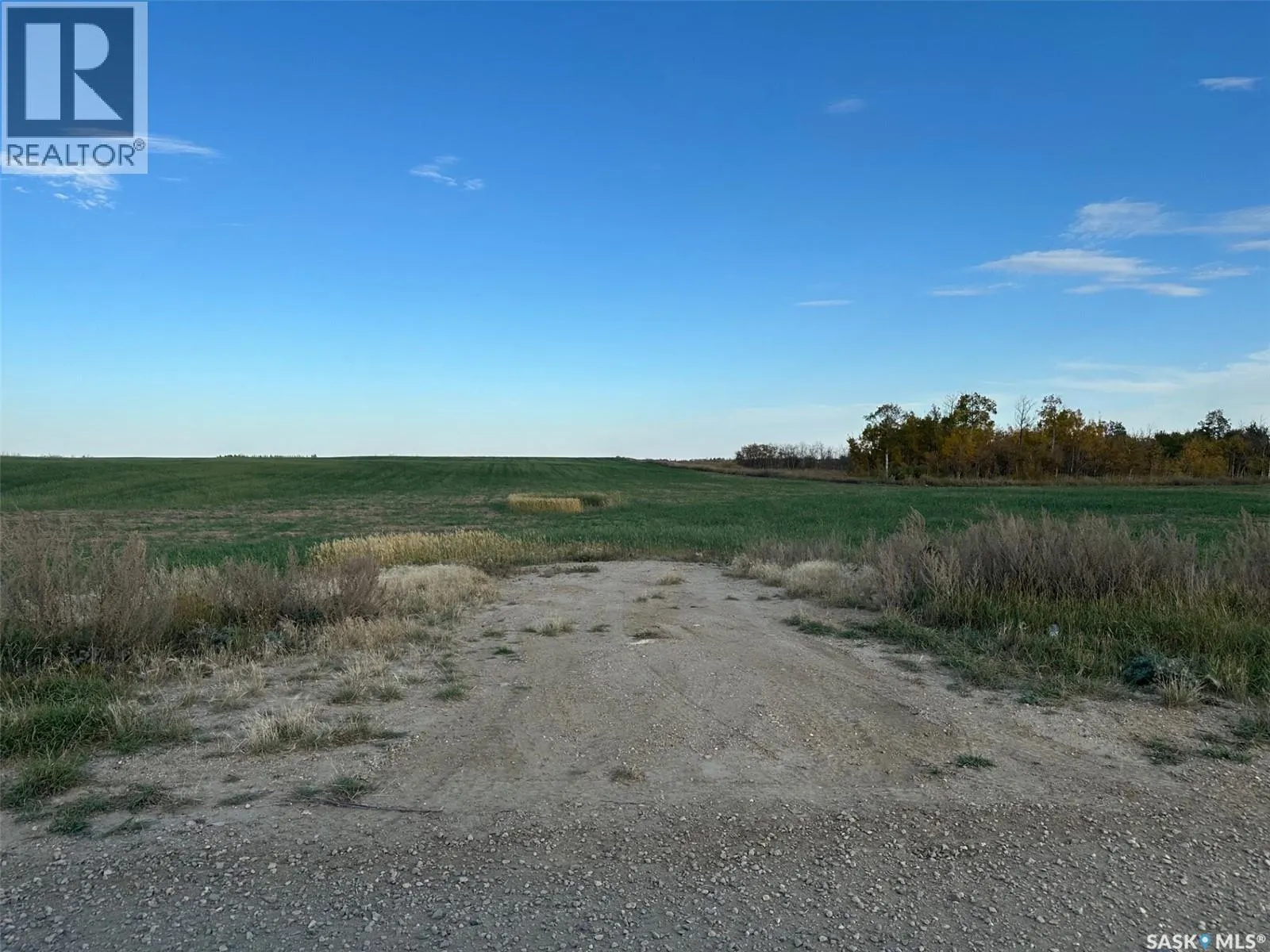 Lybeck 80 Acres