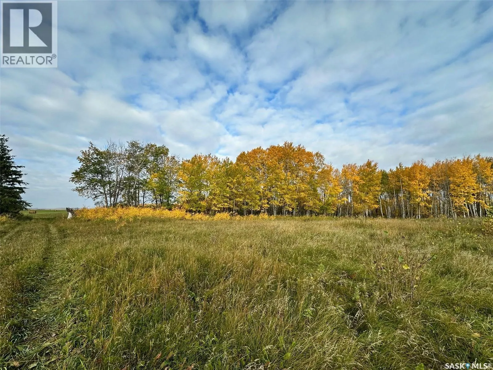 Neu Acreage