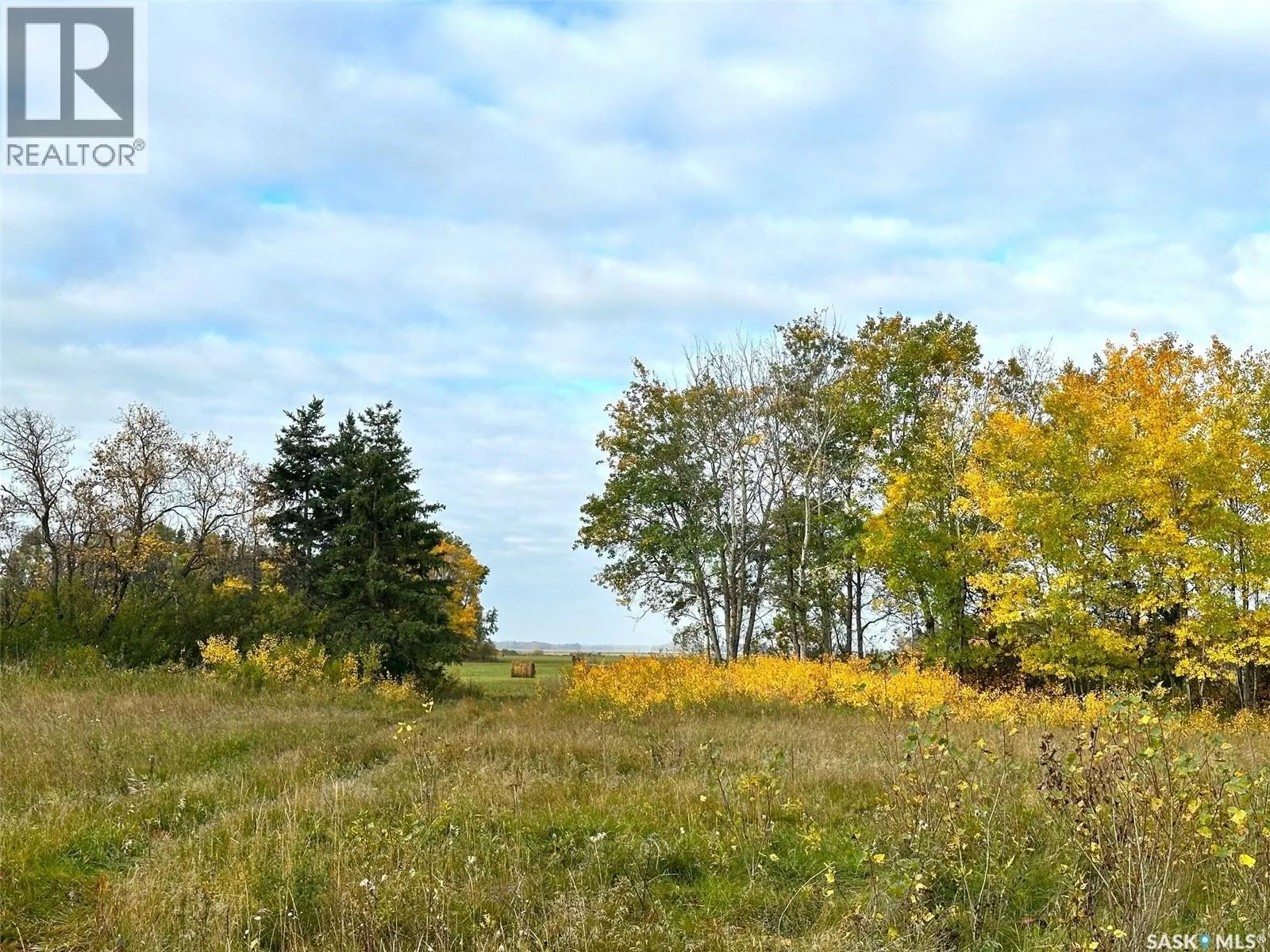 Neu Acreage