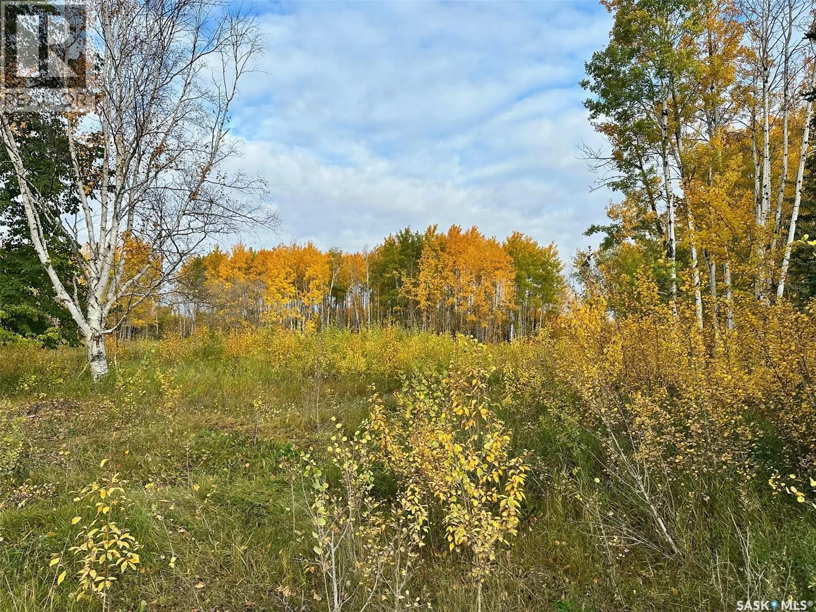 Neu Acreage