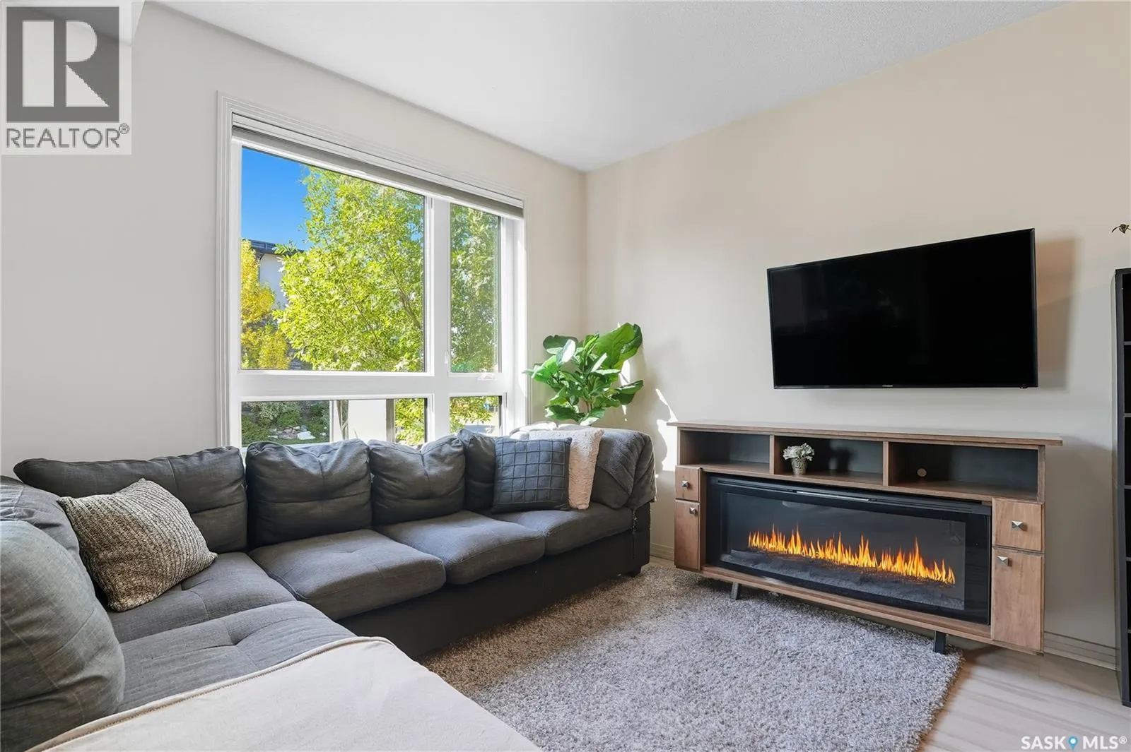 120 223 Evergreen SQUARE