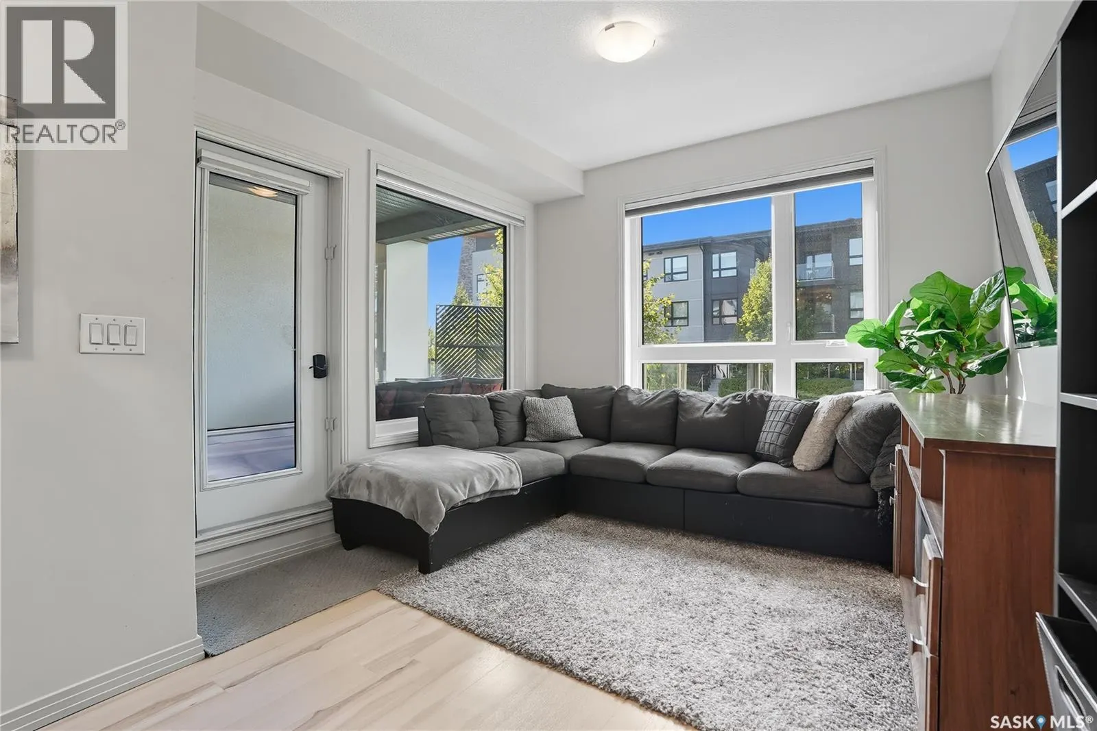 120 223 Evergreen SQUARE