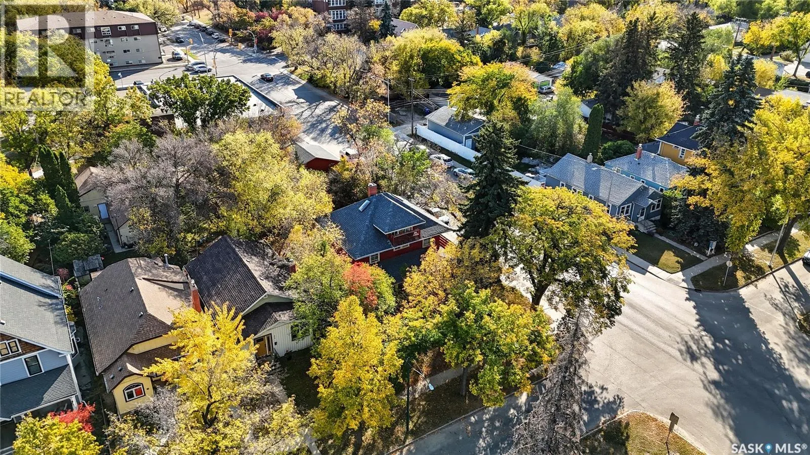521 Albert AVENUE