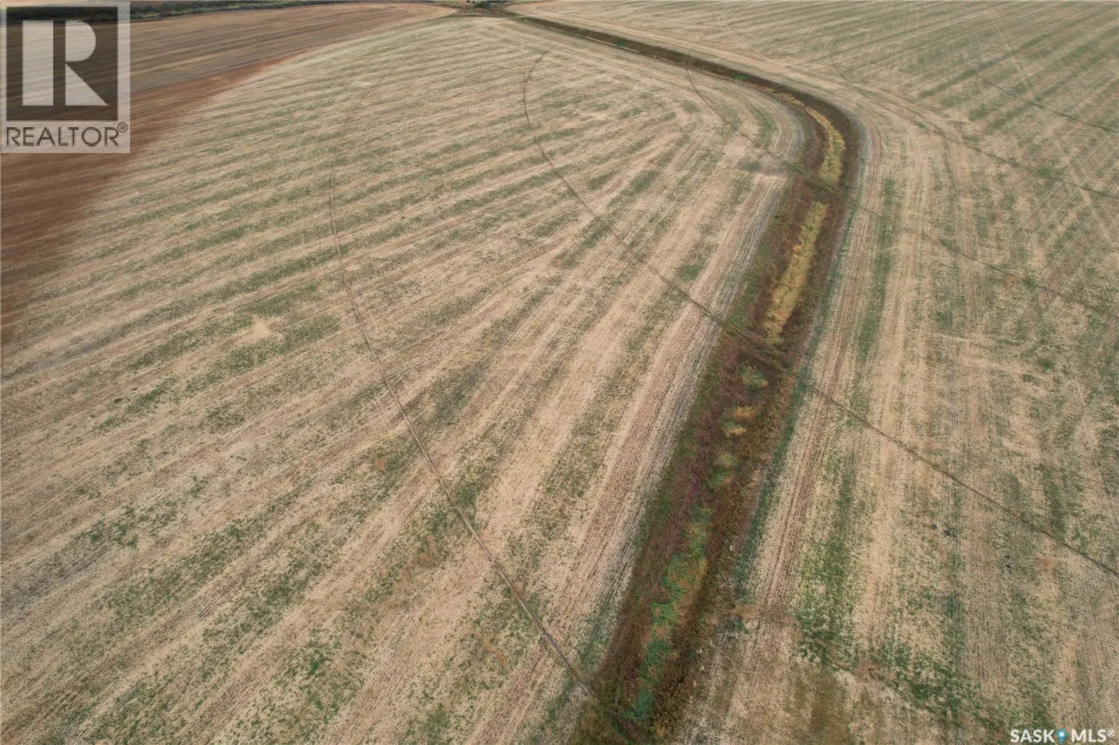 Rudy RM Irrigated Land