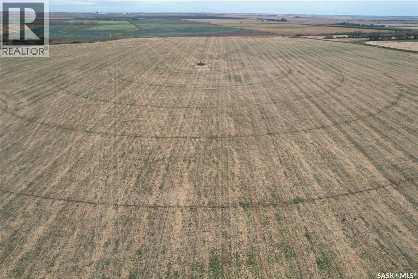Rudy RM Irrigated Land
