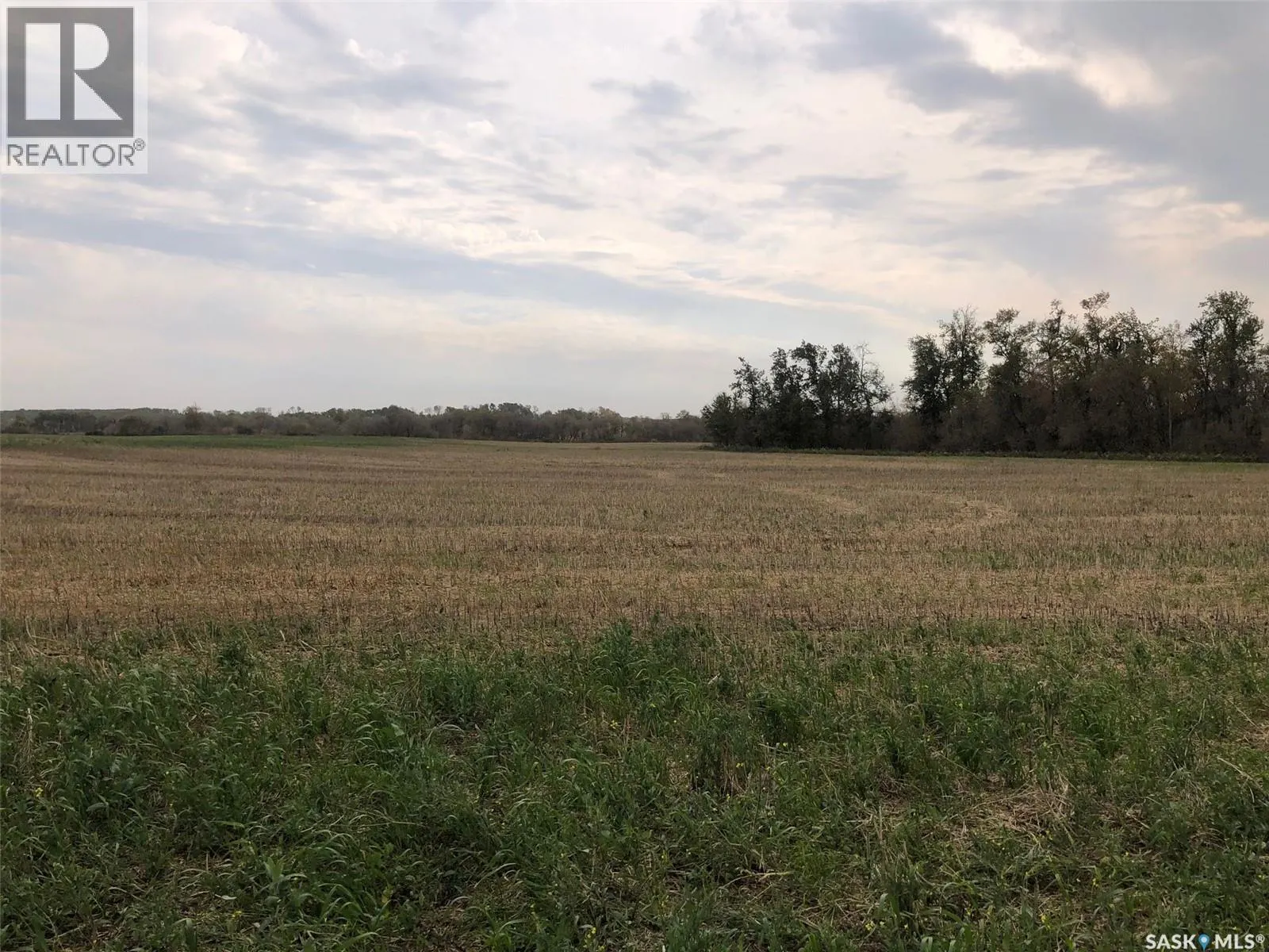 Tomilin Farm