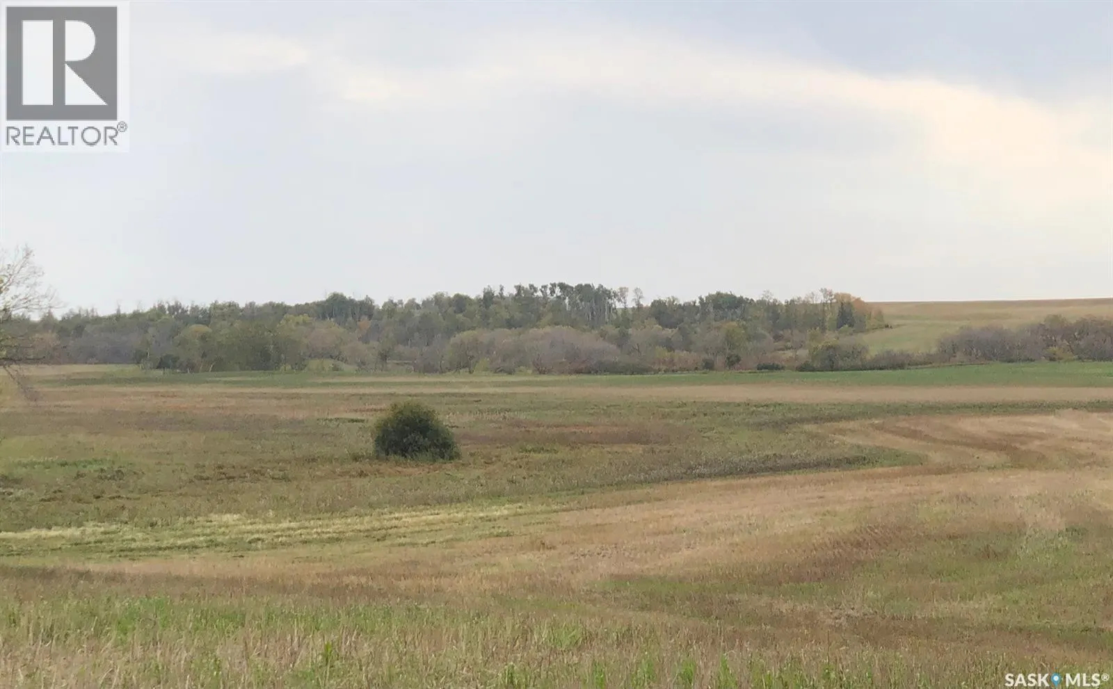 Tomilin Farm