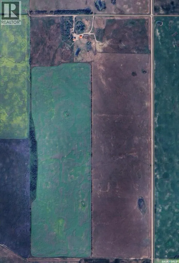 Beare Farm 2