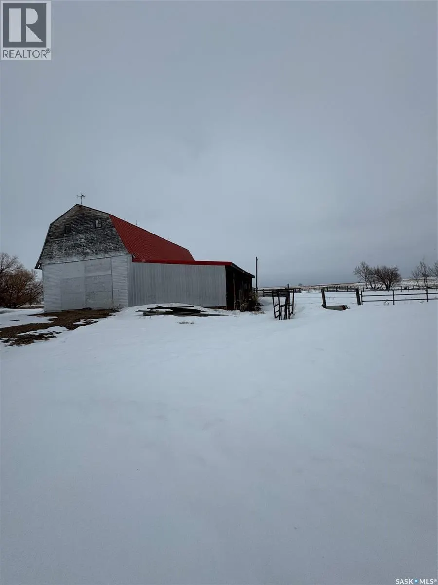 Beare Farm 2