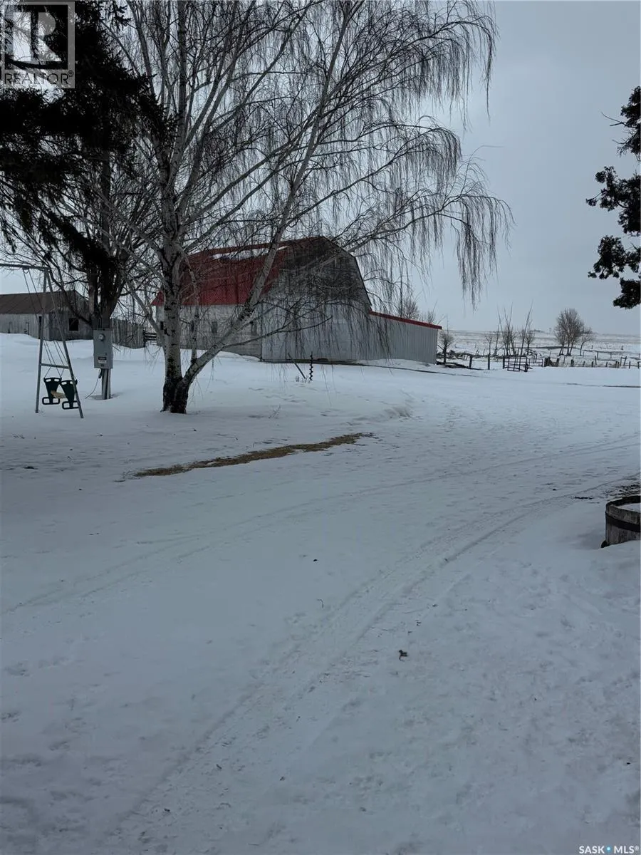 Beare Farm 2