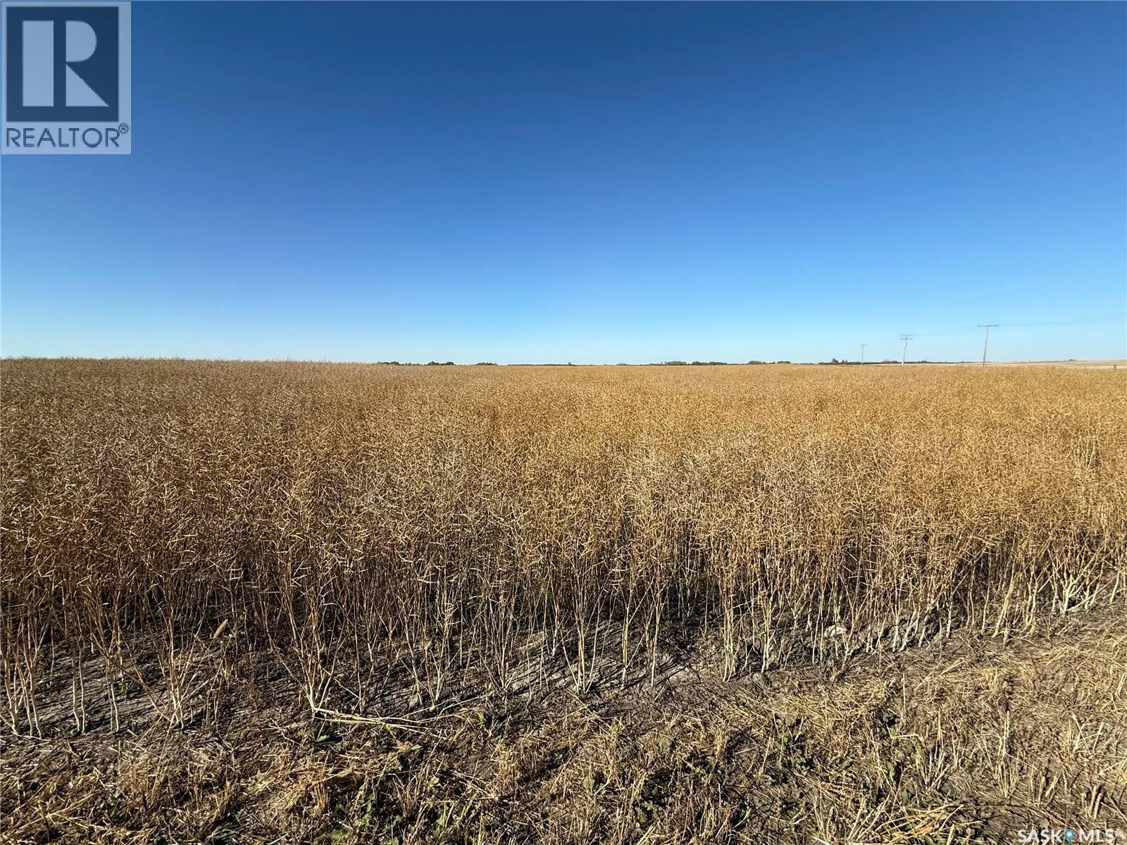1720 Acres Farmland in RM Browning