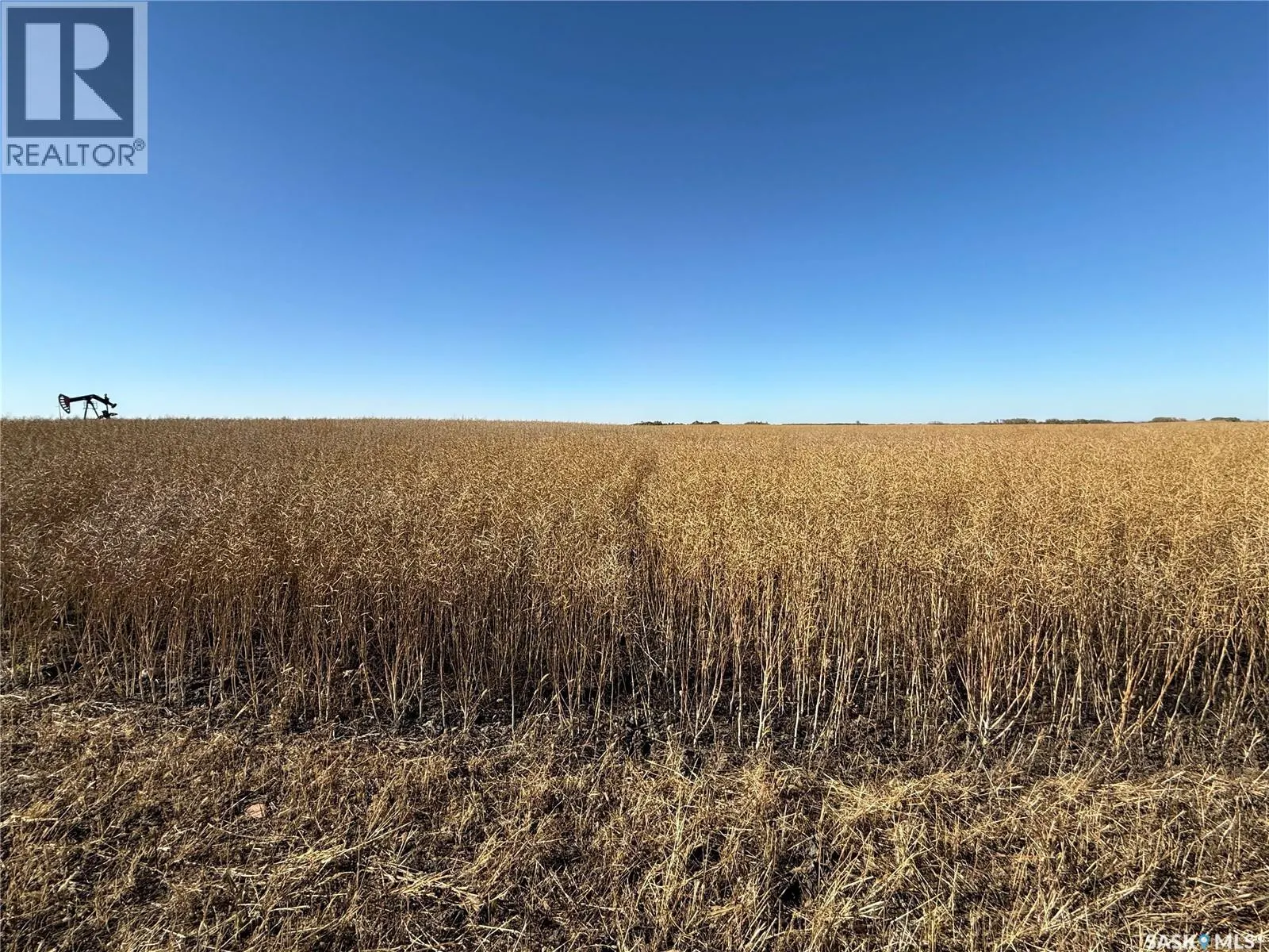 1720 Acres Farmland in RM Browning