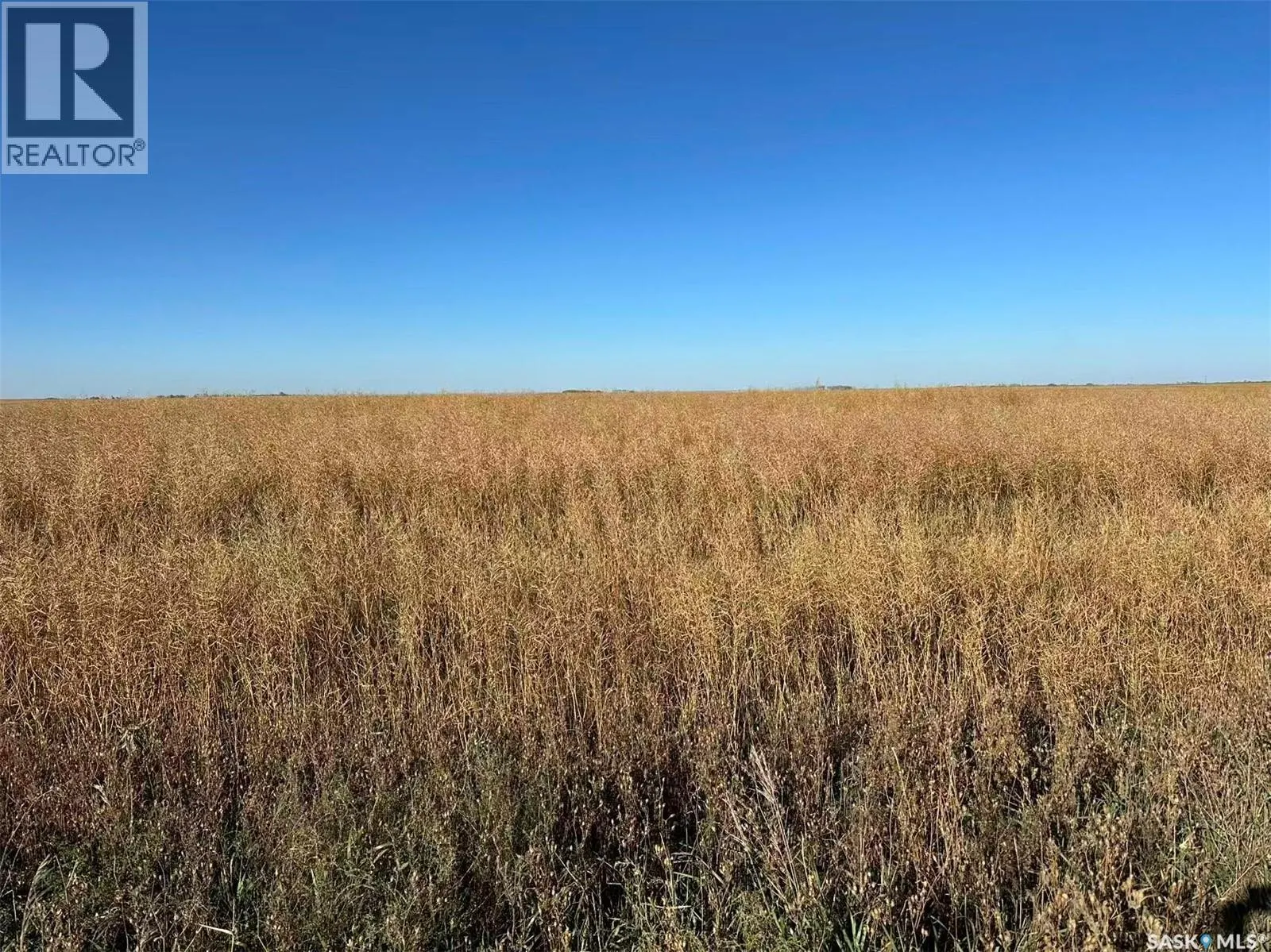 1720 Acres Farmland in RM Browning