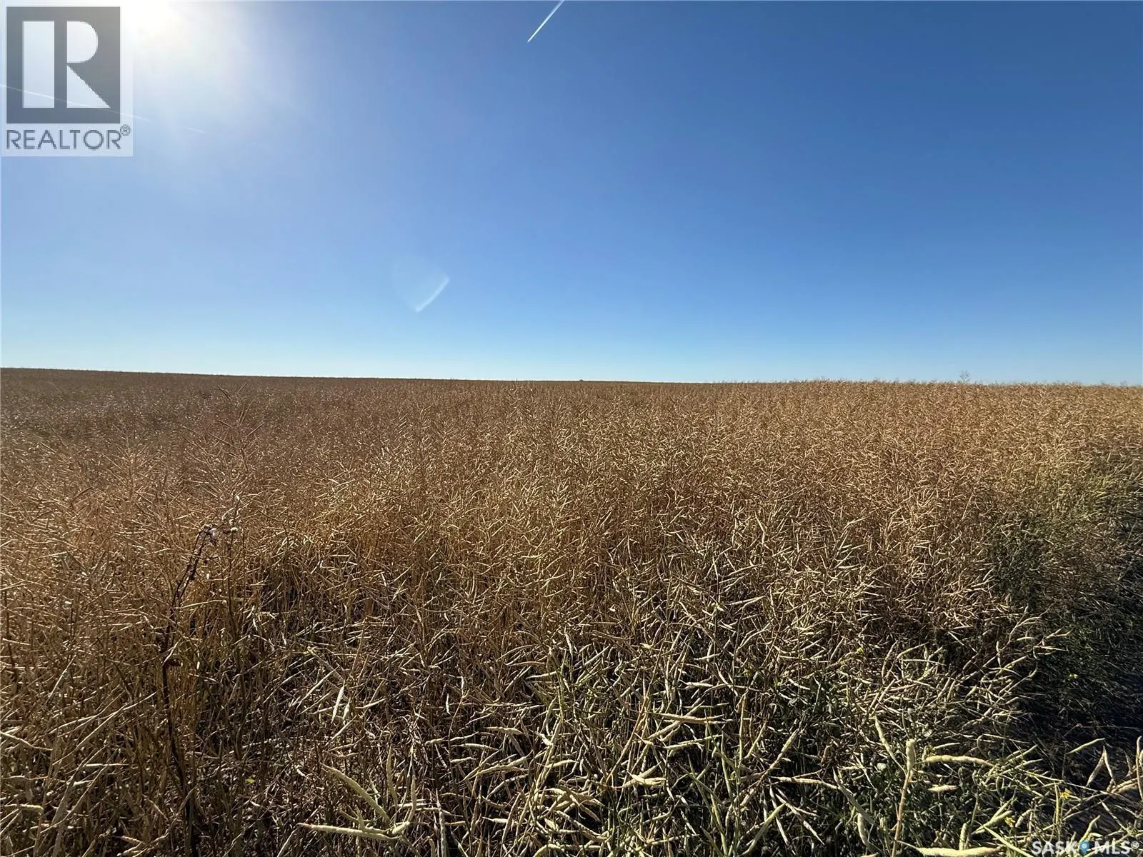 1720 Acres Farmland in RM Browning