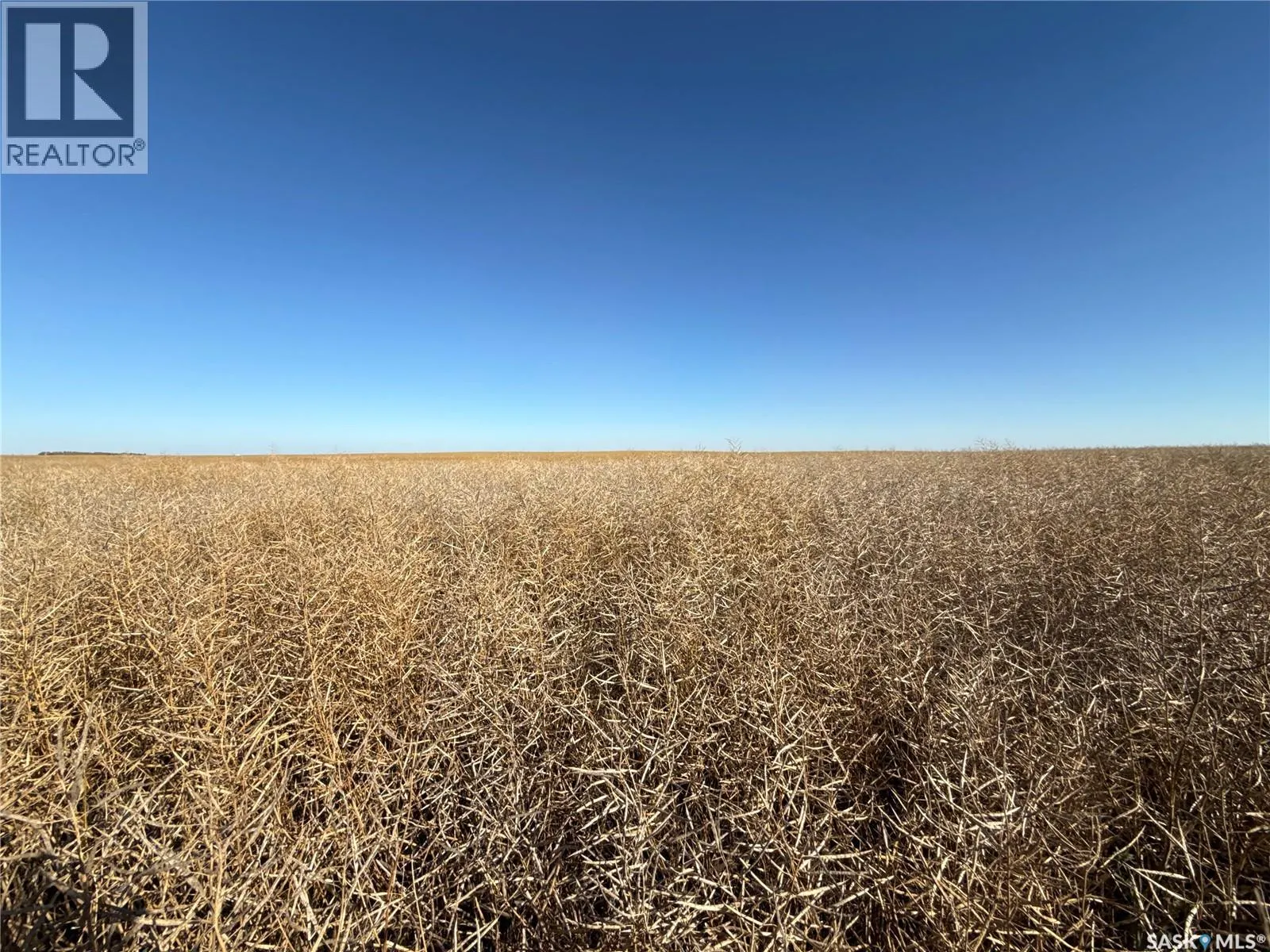 1720 Acres Farmland in RM Browning