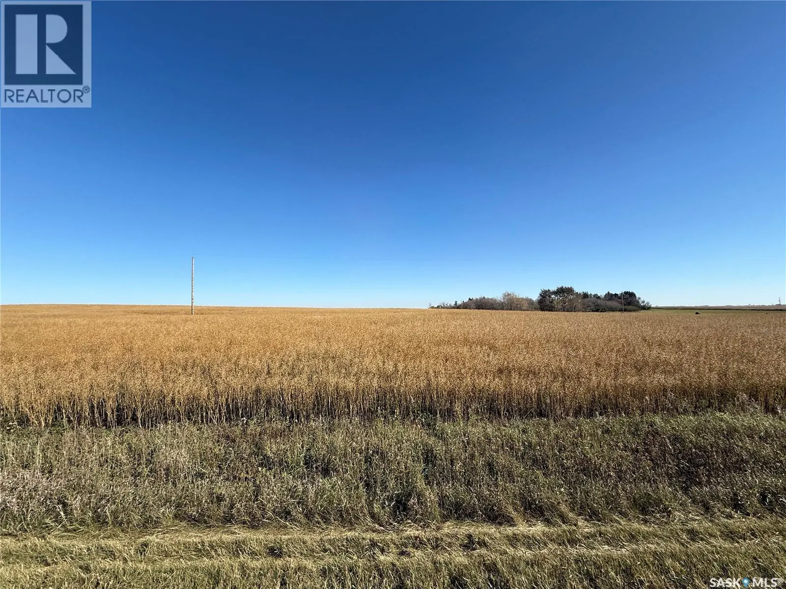 1720 Acres Farmland in RM Browning