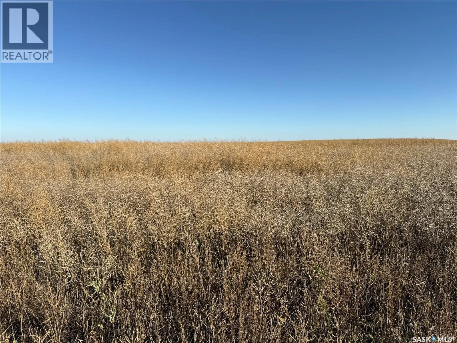 1720 Acres Farmland in RM Browning