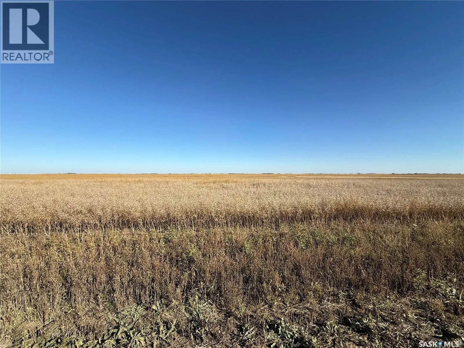 1720 Acres Farmland in RM Browning
