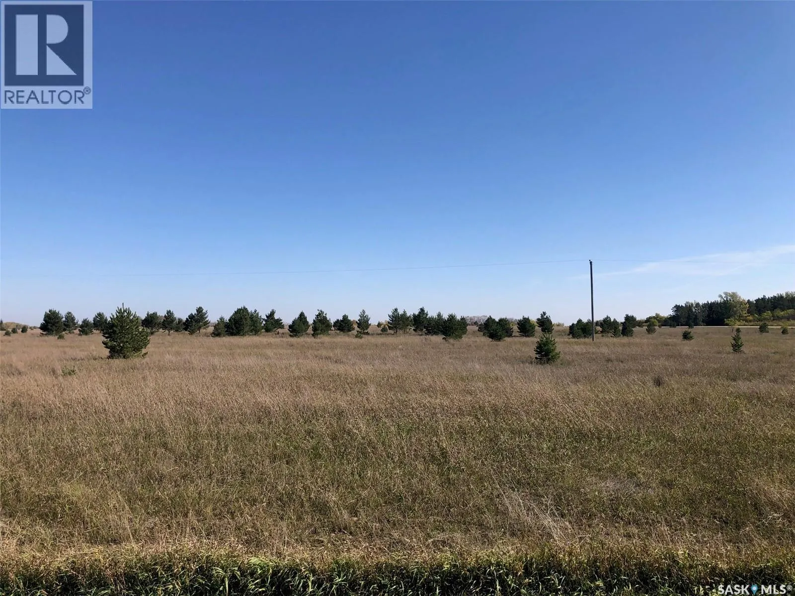Witwicki Farm