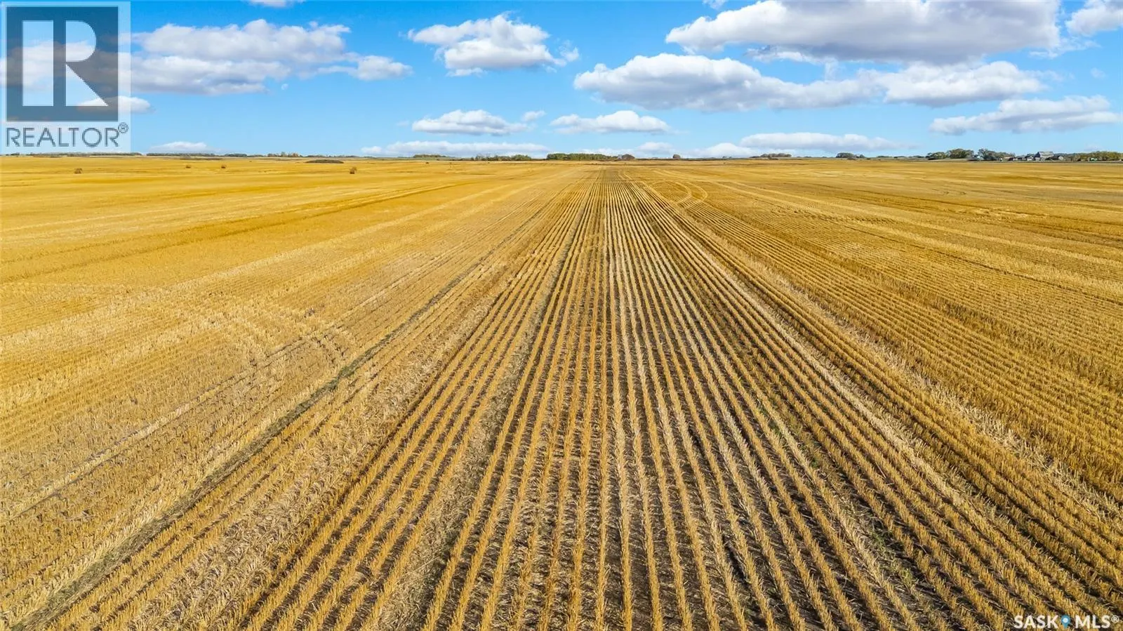 Balion Farmland