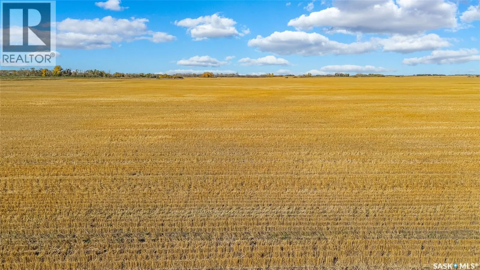 Balion Farmland