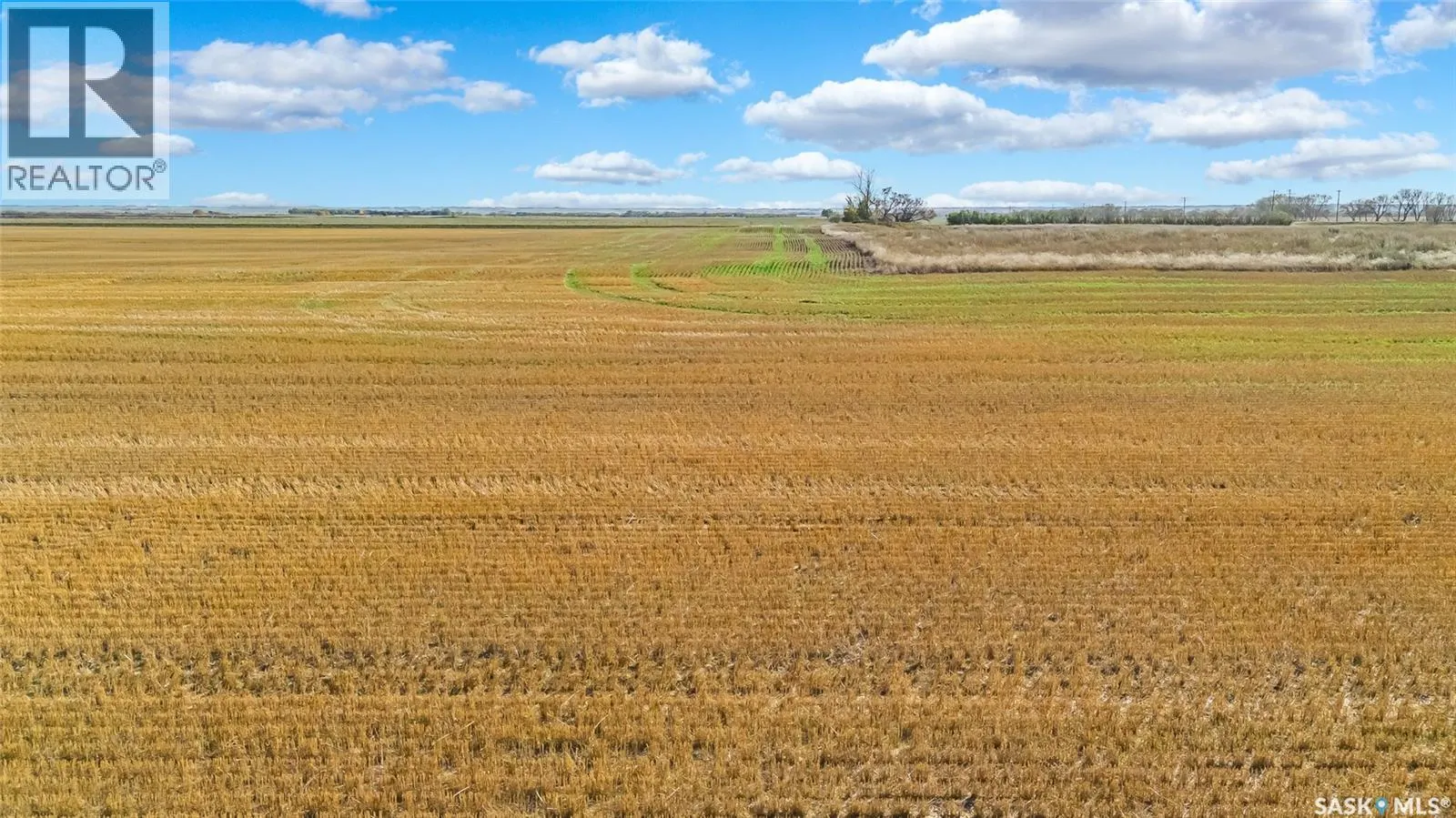 Balion Farmland