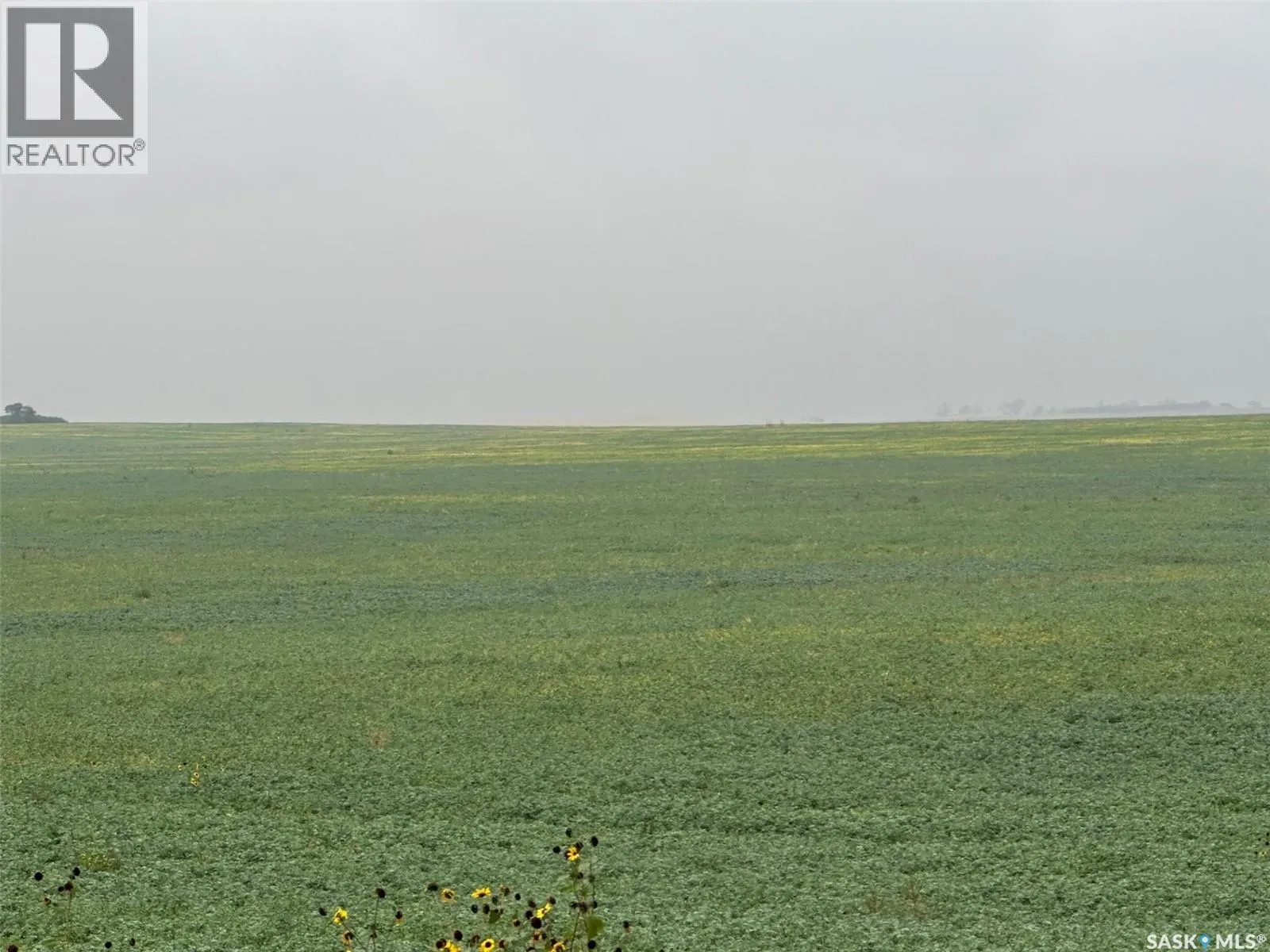 Mazenod Quarter section