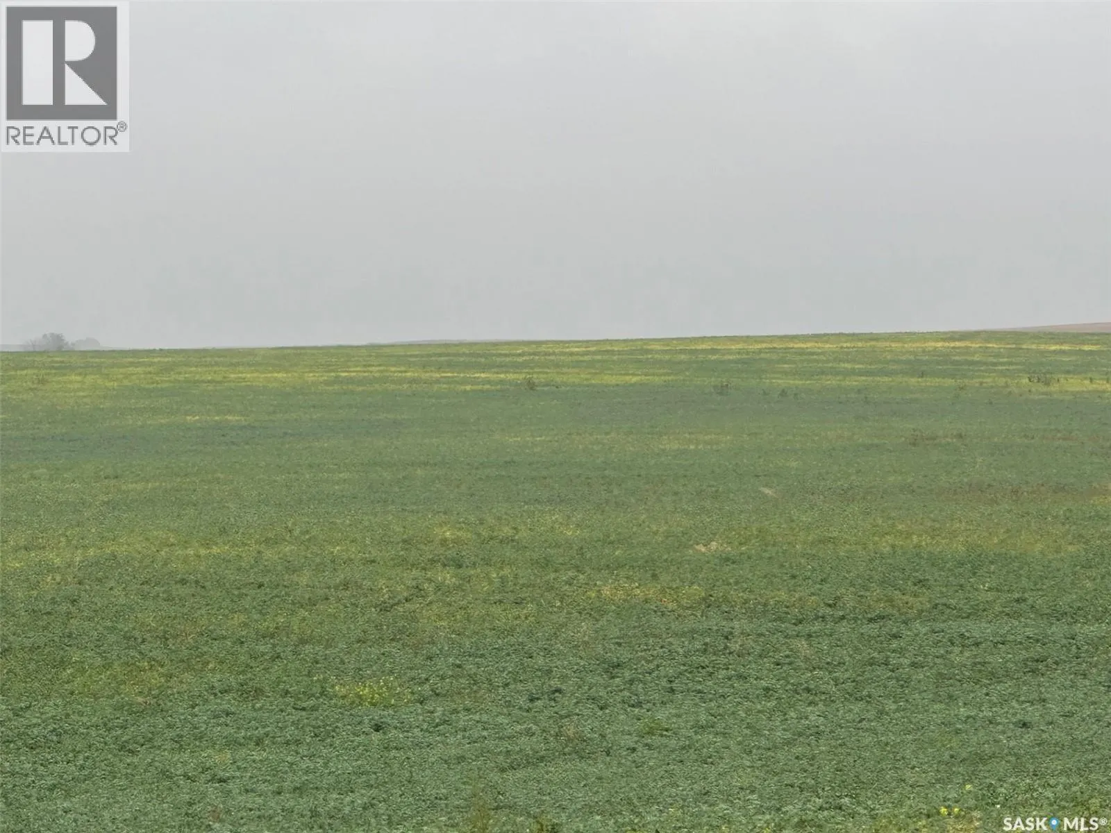 Mazenod Quarter section