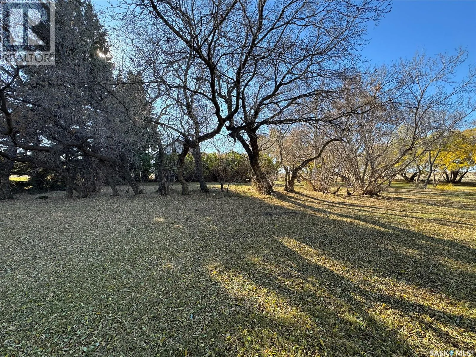 Shady Grove Acreage