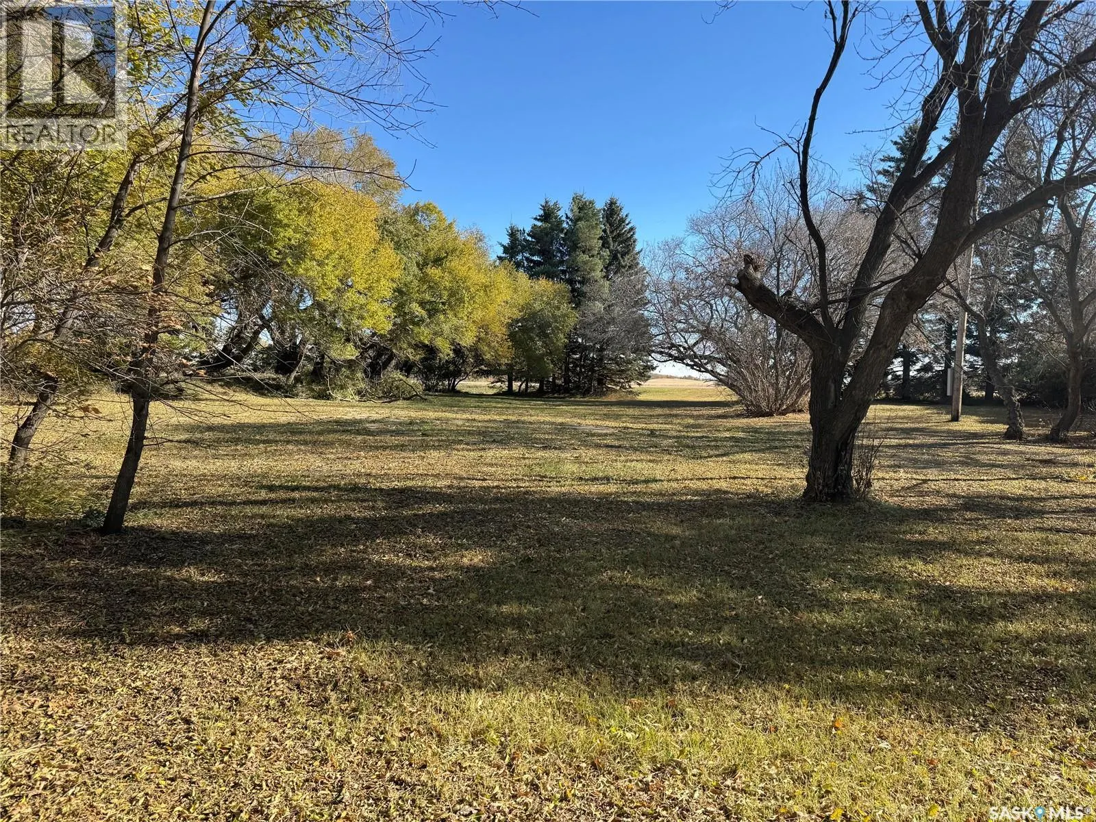 Shady Grove Acreage